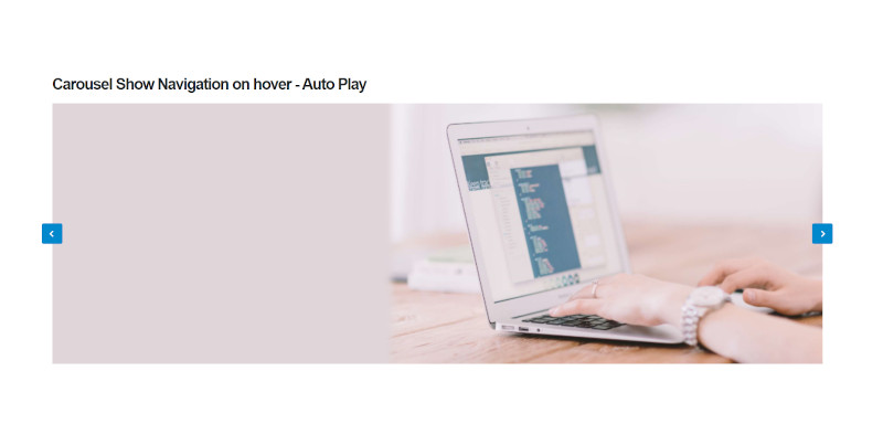 Shortcodes Carousels - show navigation on hover auto play 1 column แนะนำ เว็บไซต์สำเร็จรูป NineNIC