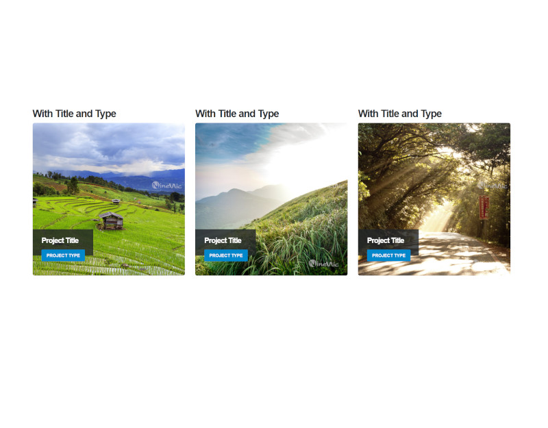 Shortcodes Image frame - hover with title and type 3 images 3 column แนะนำ เว็บไซต์สำเร็จรูป NineNIC