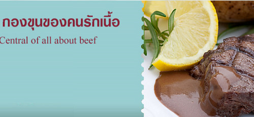 เว็บไซต์สำเร็จรูป-ninenic-ผลงานออกแบบเว็บไซต์